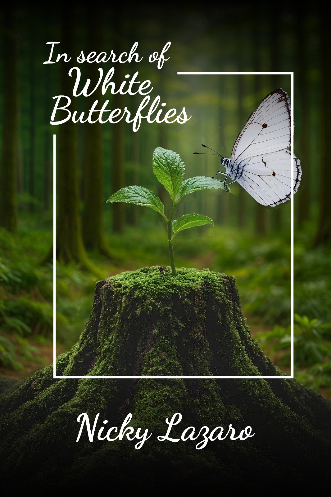 WhatsApp Image 2026-01-28 at 6.17.33 PM (1)